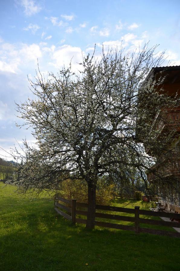 Aubauer Villa Бишофсхофен Екстериор снимка